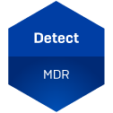 detect